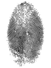Vector Detailed fingerprint with swirling ridges