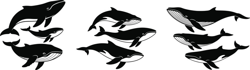 Black and white whale illustrations, cartoon marine mammals, ocean wildlife art, baleen whales drawing, aquatic animal clipart, sea creature graphics