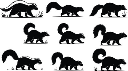 Fototapeta premium Skunk silhouette collection, wildlife animal vector, black and white skunk illustration, nature mammal art, tail raised, grass scene, pest control concept