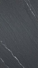 Dark gray stone with flowing white veins