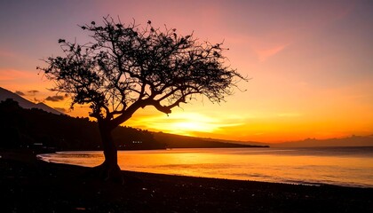 Silhouette of a lone tree at sunset over a beach