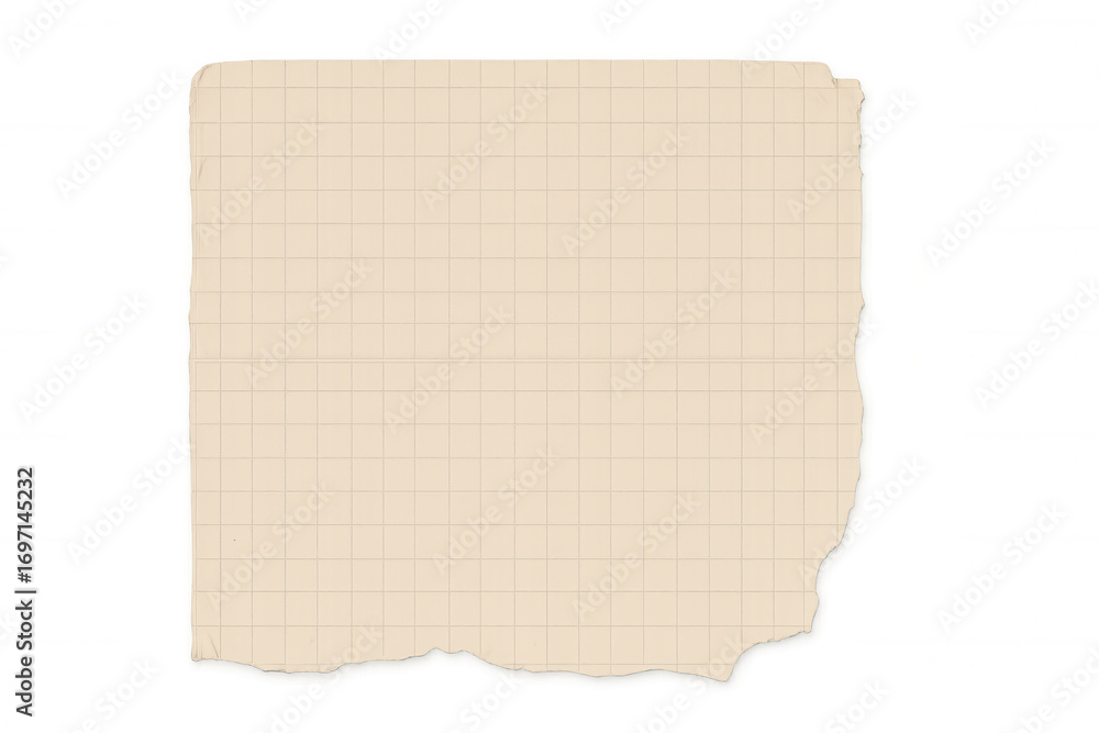 Poster close-up of a blank sheet of squared notebook paper with torn edges, isolated on a transparent backg