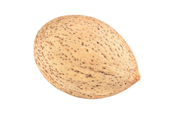 Whole natural almond isolated on black background