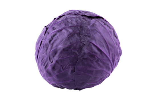 Close-up of fresh whole red cabbage on black background