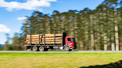 From Forest to Future