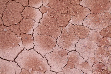 dry cracked earth. Close-up of cracked dry red soil showing drought effects and texture details. Perfect for themes of climate change, arid land, and environmental issues.