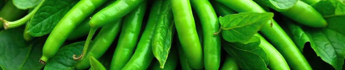 Fresh spinach and string beans, vibrant green and healthy, ready to be cooked  Perfect for salads, stir-fries, or side dishes  A delicious and nutritious combination  , diet, nutritious, spinach