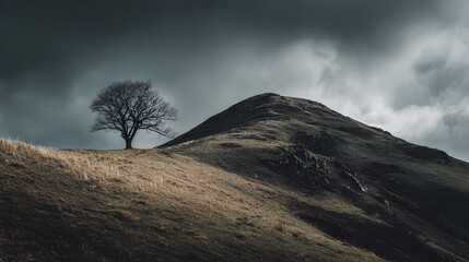Lone Tree on a Dark Hill Under a Cloudy Sky