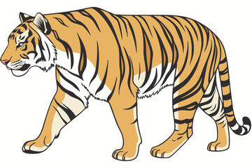 Obraz premium tiger vector illustration