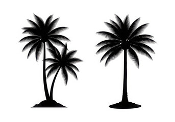 Obraz premium Silhouettes of tall palm trees against a white background
