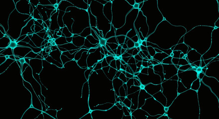 A complex network of glowing teal neurons interconnected, illustrating the intricate pathways of the human brain and nervous system.
