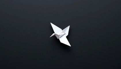 Minimalist Origami Crane