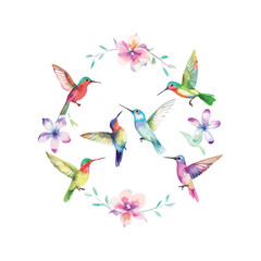 Vibrant Watercolor Hummingbirds Collection with Delicate Flowe