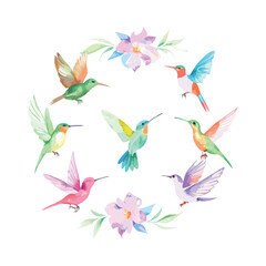 Vibrant Watercolor Hummingbirds Collection with Delicate Flowe