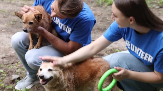 Volunteers with cute stray dogs and toy outdoors