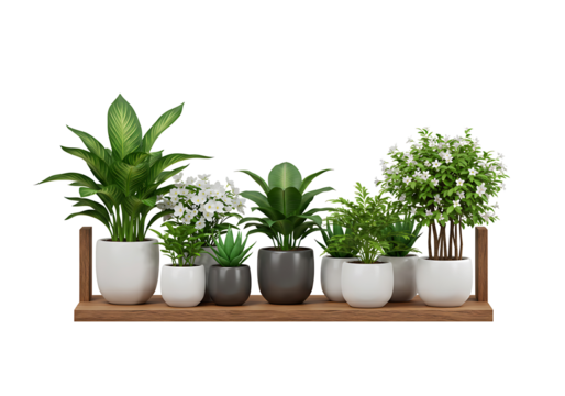 Indoor Plants and White Flowers on Wooden Shelf on transparent background- 3D rendering
