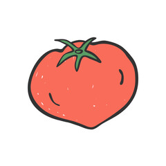 Hand drawn tomato illustration. Doodle tomato illustration. Vegetable illustration.