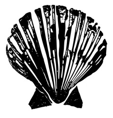 Vector Detailed black scallop .