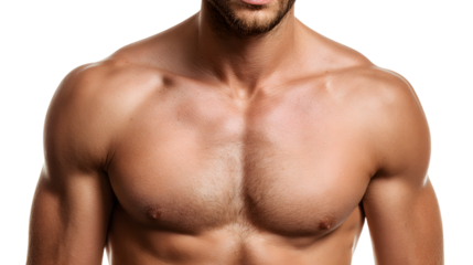 Muscular man's chest and face