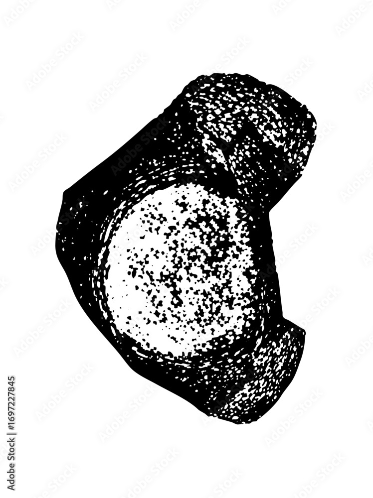 Poster Vector Detailed of a sliced round bread with textured crust.