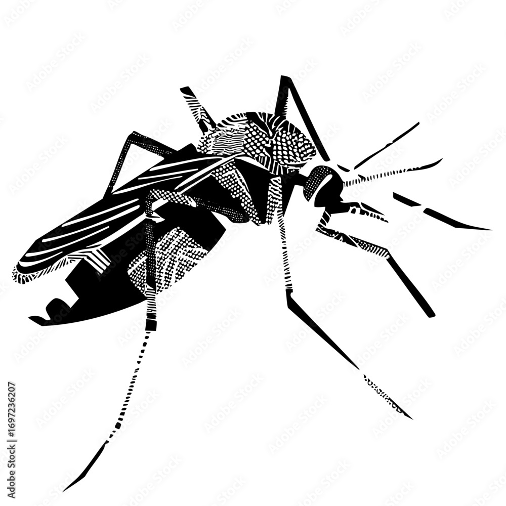 Poster vector detailed vector of a grasshopper with patterned wings.