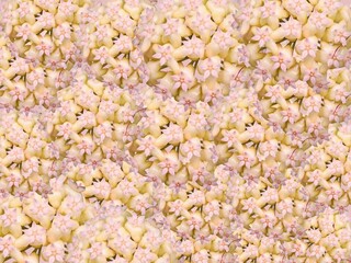 A close-up view of a popcorn-like texture, perfect as a background or pattern.
