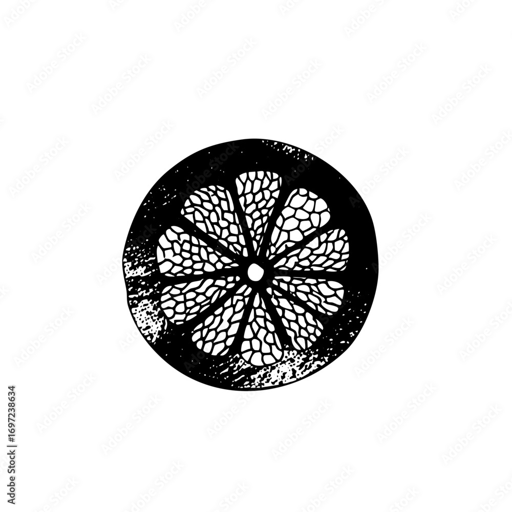 Poster vector detailed citrus slice with segmented pulp.