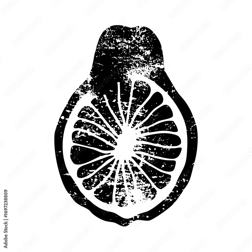 Poster vector detailed citrus slice with textured edges.