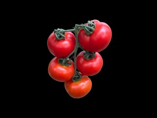A close-up of a bunch of fresh, red cherry tomatoes on a black  background.