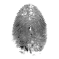 Vector Detailed black fingerprint with swirling ridges.