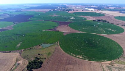 Aerial View of Circular Irrigation Systems on Farmland