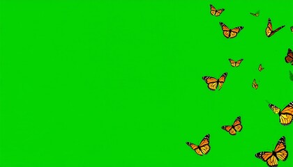 Animated butterflies on a green background (2)
