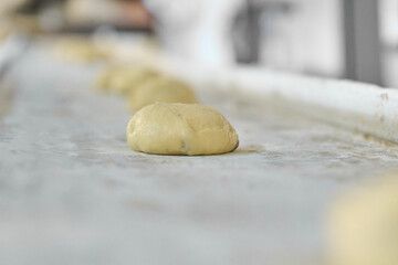 Kulich dough rings on conveyor belt prepared for baking in a modern bakery facility