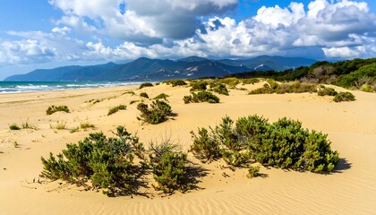 Sandy beach with greenery and mountains