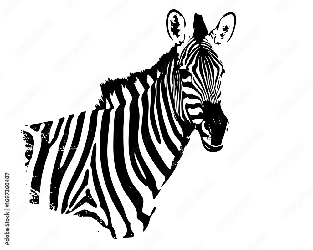 Poster vector striking zebra features bold stripes and a dynamic profile.