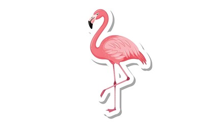 Obraz premium A vibrant flamingo gracefully posing in its natural habitat. 