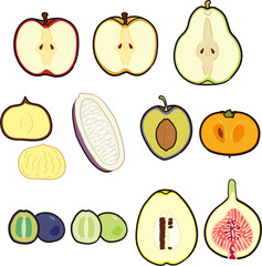 いろいろな秋のフルーツ断面イラストセット