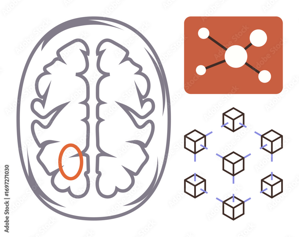 Poster brain diagram with highlighted region, molecular structure, and network blocks. ideal for neuroscien