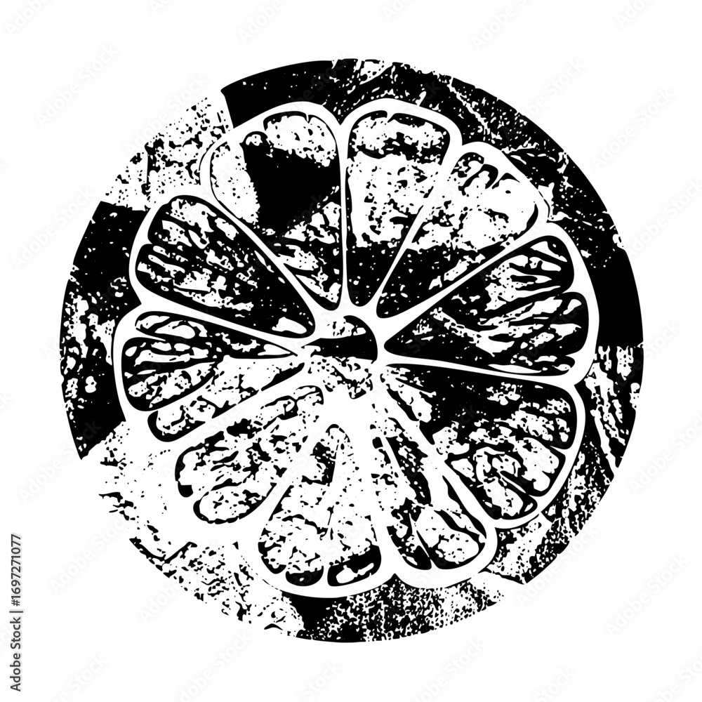 Poster vector detailed citrus slice with segmented pulp.