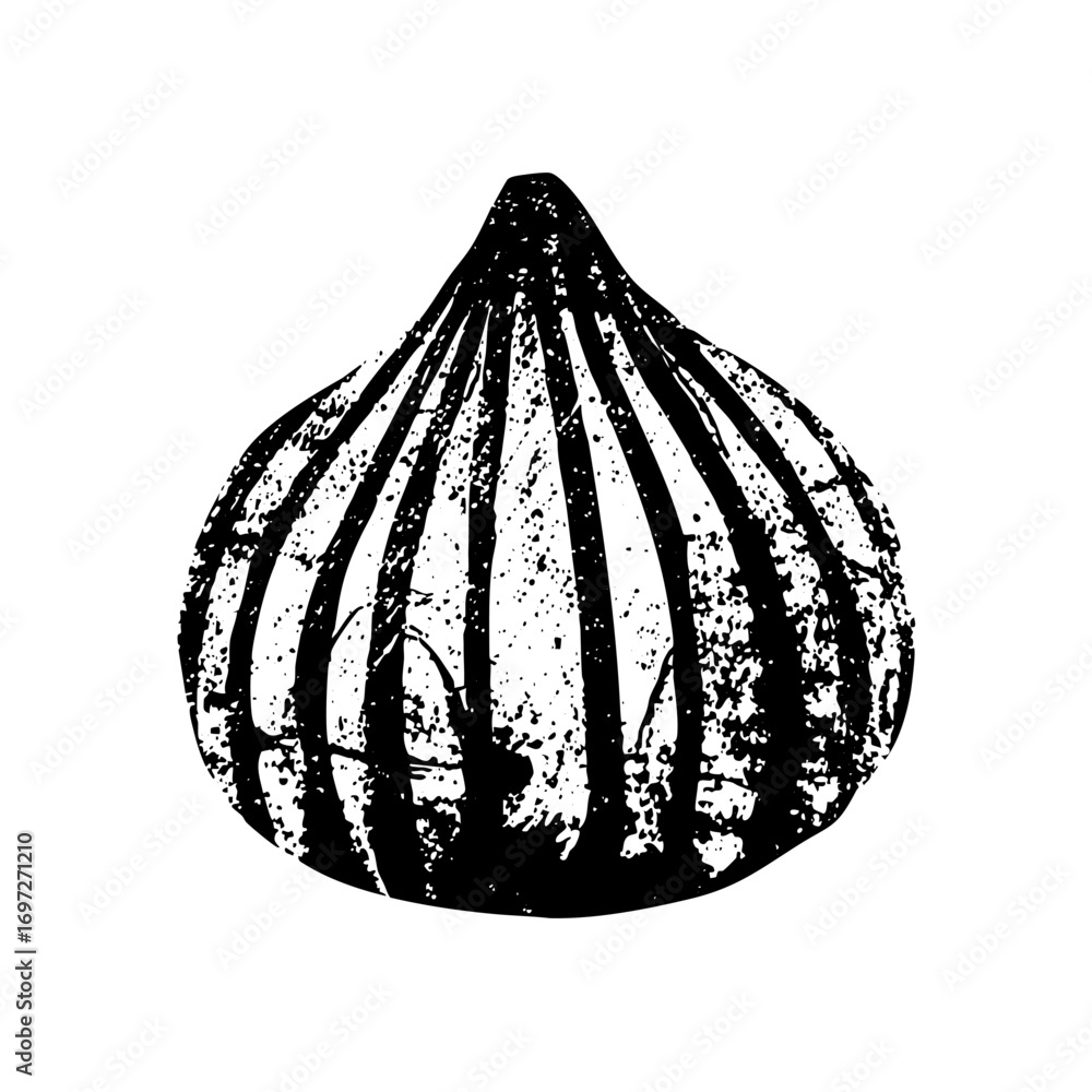 Poster vector detailed of a segmented seashell with a rustic texture.