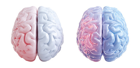 Illustration of Human Brain Split into Two Colorful Halves for Concept