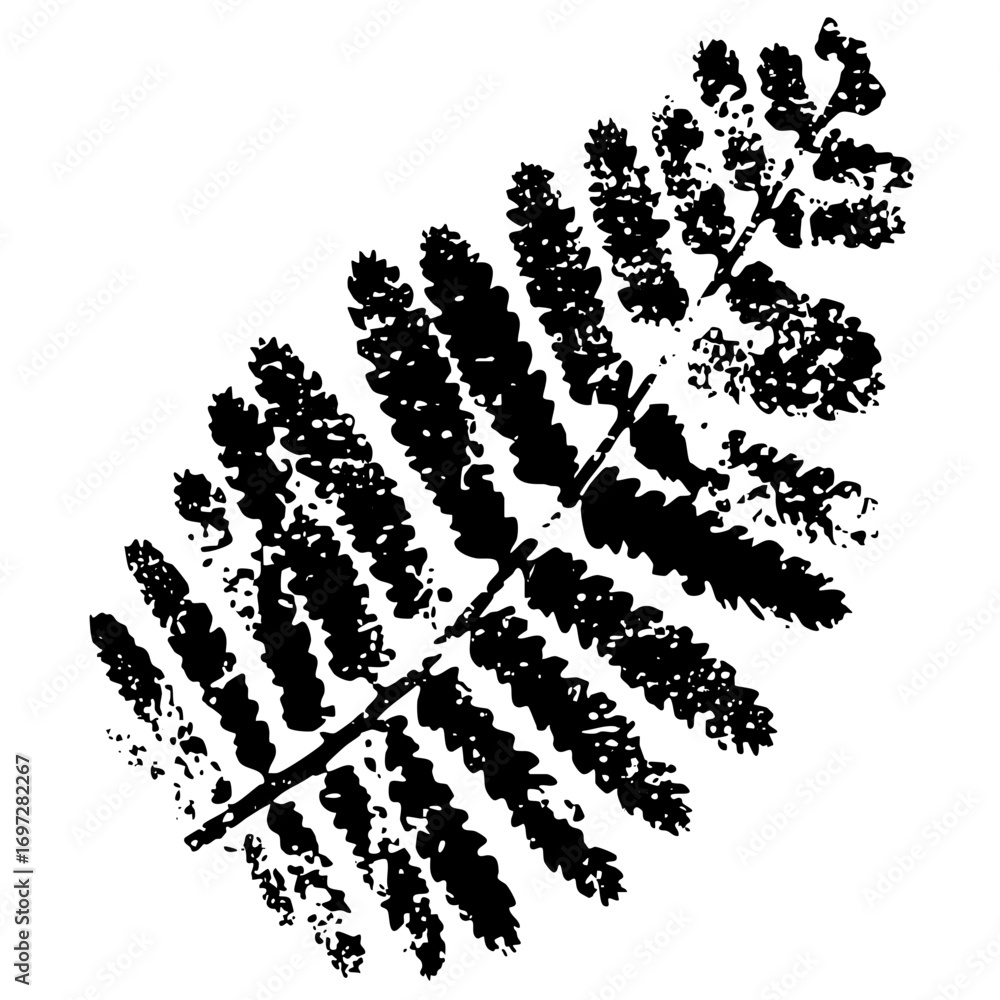 Poster vector abstract fern leaf with textured strokes.