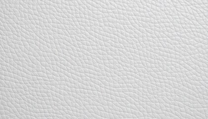 White Leather Texture Background Premium Pebble Grain