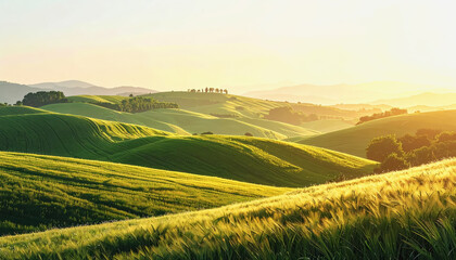 Obraz premium Picturesque green hill with trees and rolling hills in the background offering a relaxing nature background with space