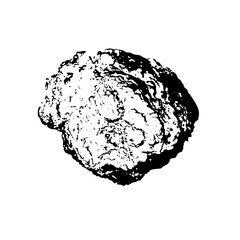 Vector Abstract black and white organic shape .