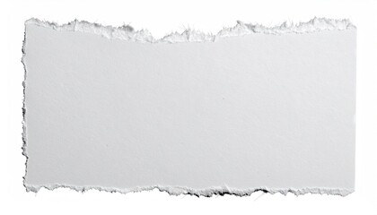 Torn White Paper Texture with Fiber Fringe