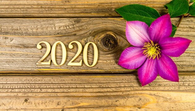 Wooden 2020 numbers with vibrant flower on rustic wooden background