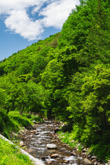 きさらぎの道沿いの菅川　木祖村 © kikisora
