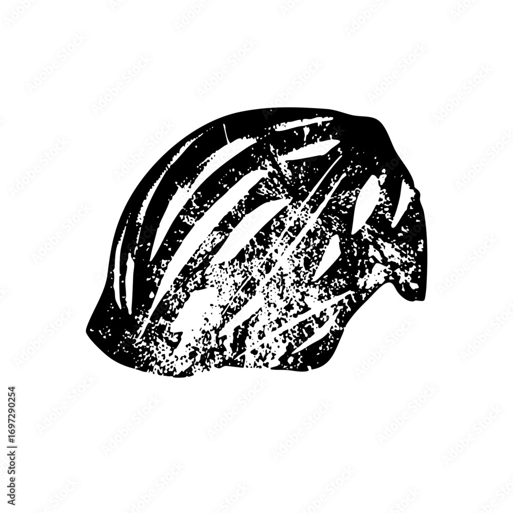 Poster vector detailed of a textured seashell with radiating lines.