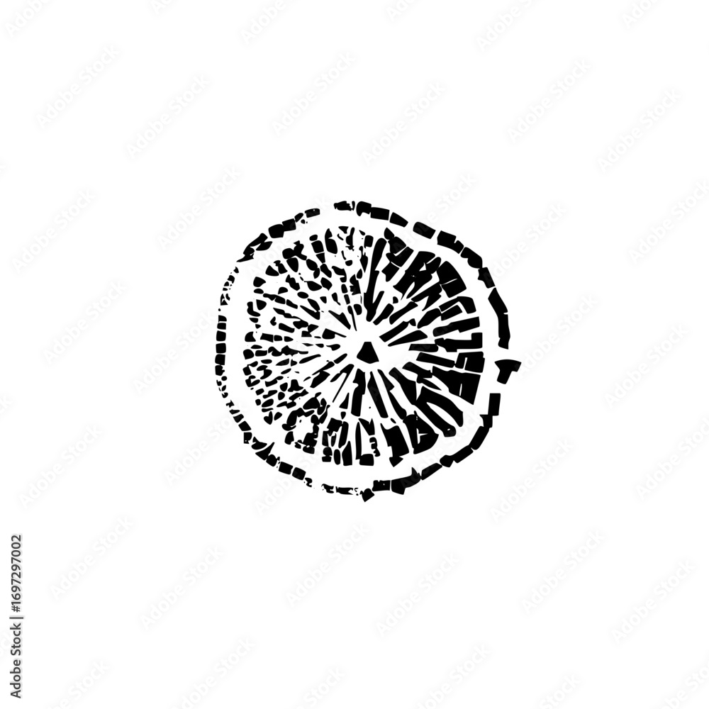 Poster vector abstract citrus slice with radial segments.